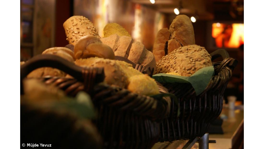 Estudo propõe substituição do sal no pão por planta halófita