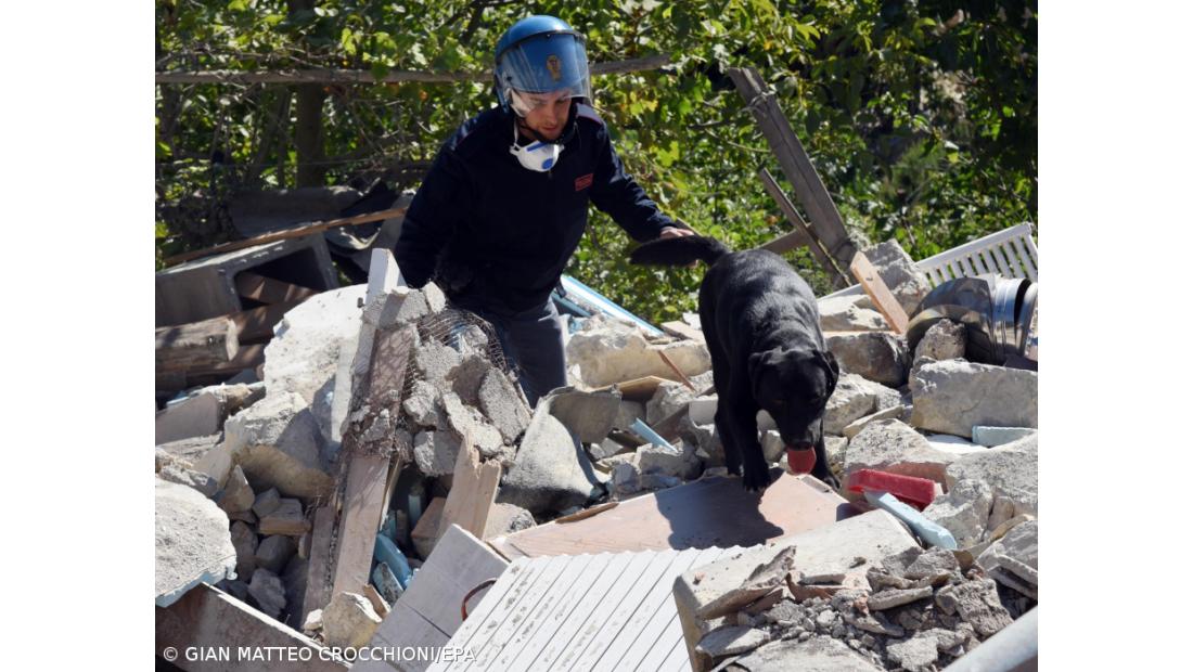 Sobe para 267 número de mortos no sismo no centro de Itália