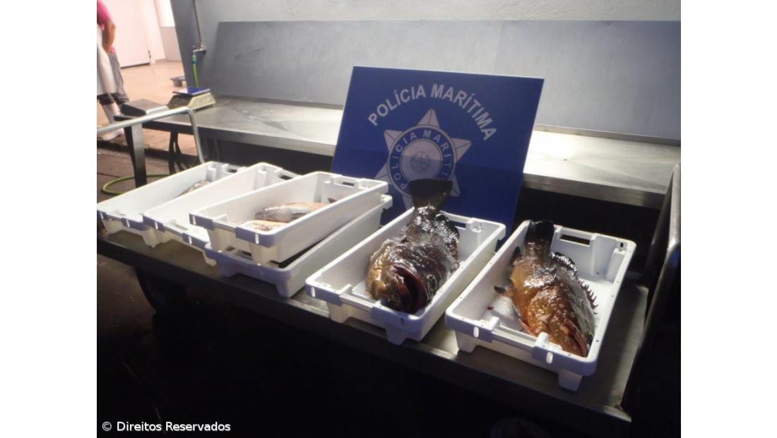 Polícia Marítima apreende 50 quilogramas de pescado