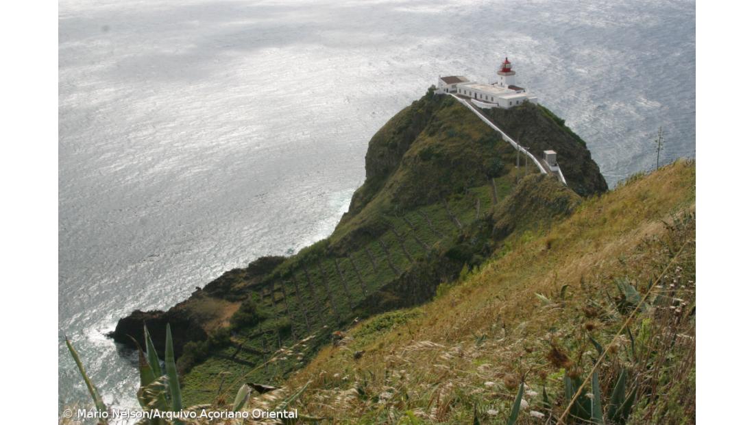 Ruínas de fábrica da baleia em Santa Maria em processo de venda a emigrante 