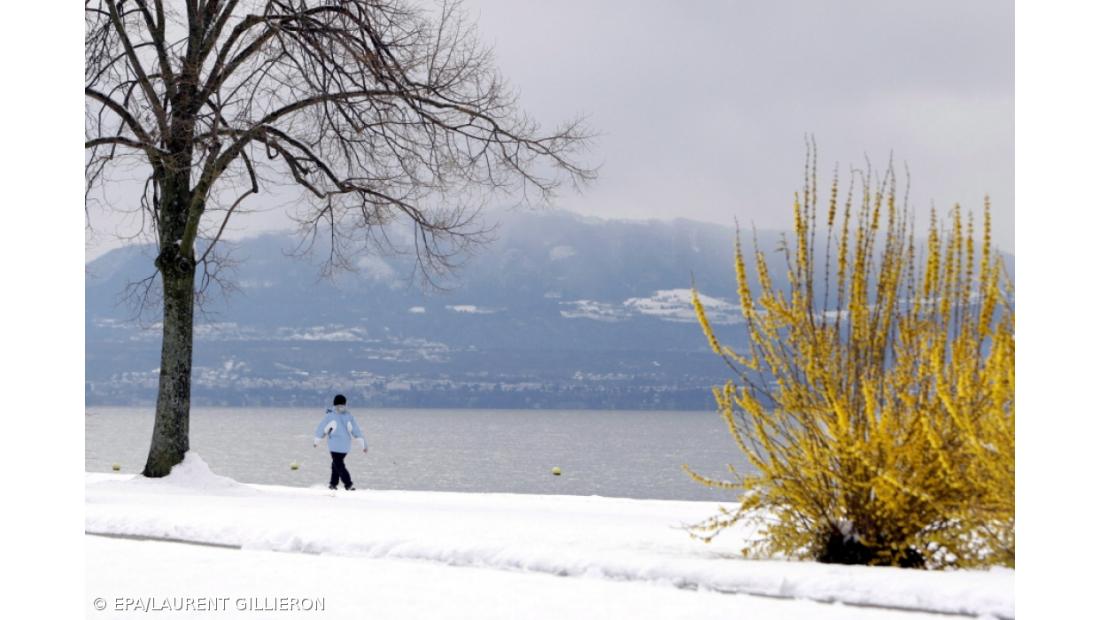 PE aprova pacote de combate às alterações climáticas 