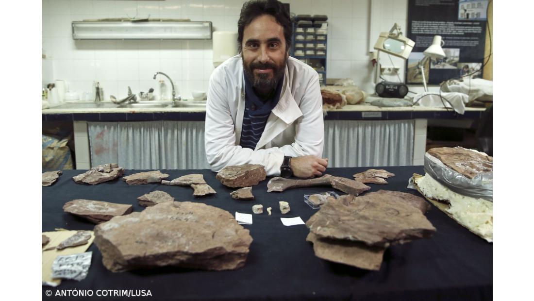 Português descobre na Gronelândia um dos primeiros animais do Atlântico primitivo