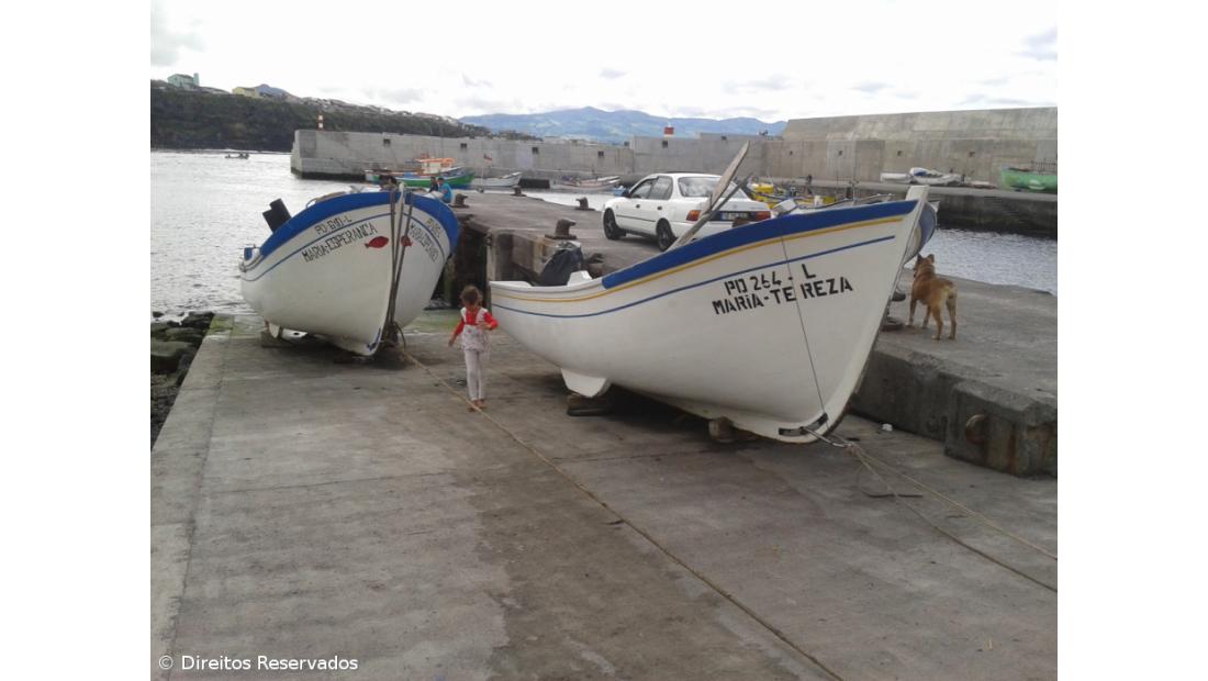 Governo Regional altera regulamentação de pesca por armadilha