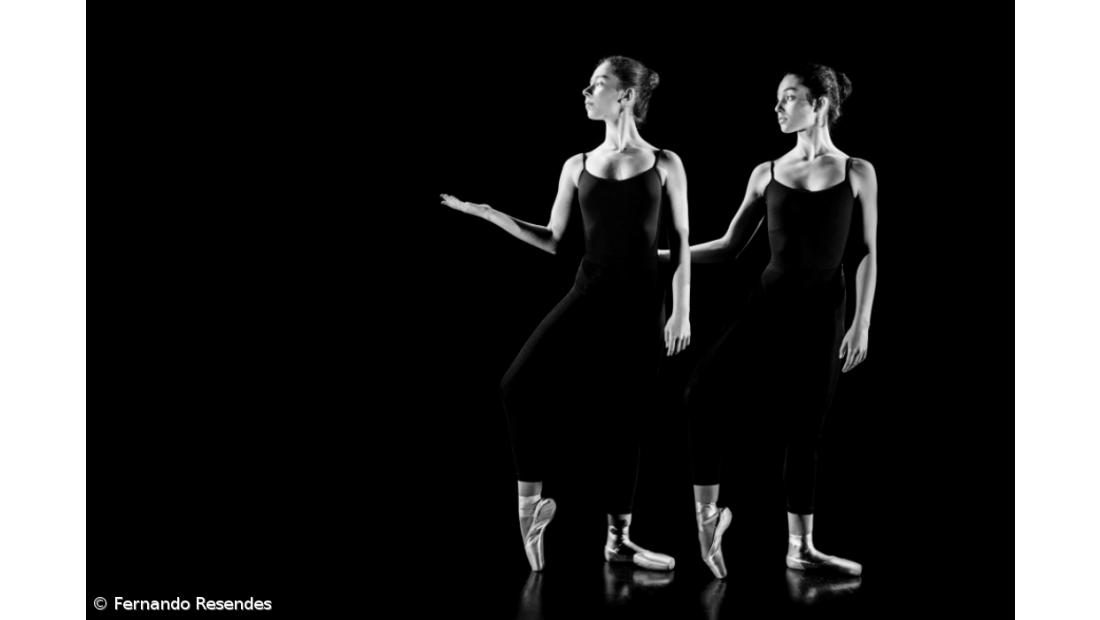 Estatuto dos Profissionais da Cultura cumpre um ano entre críticas e incertezas