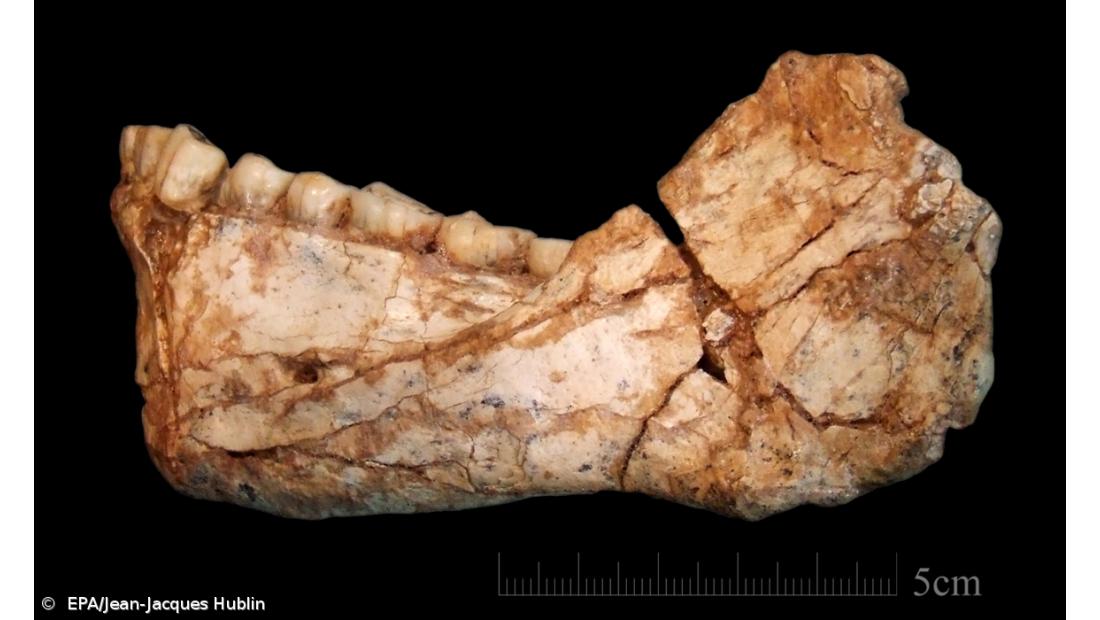 Homem atual é 100 mil anos mais antigo que o que se pensava      