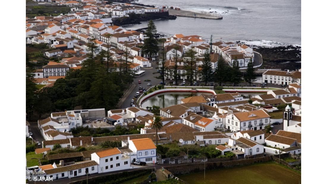 Vinho vulcânico da Graciosa “Pedras Brancas” procura internacionalização 