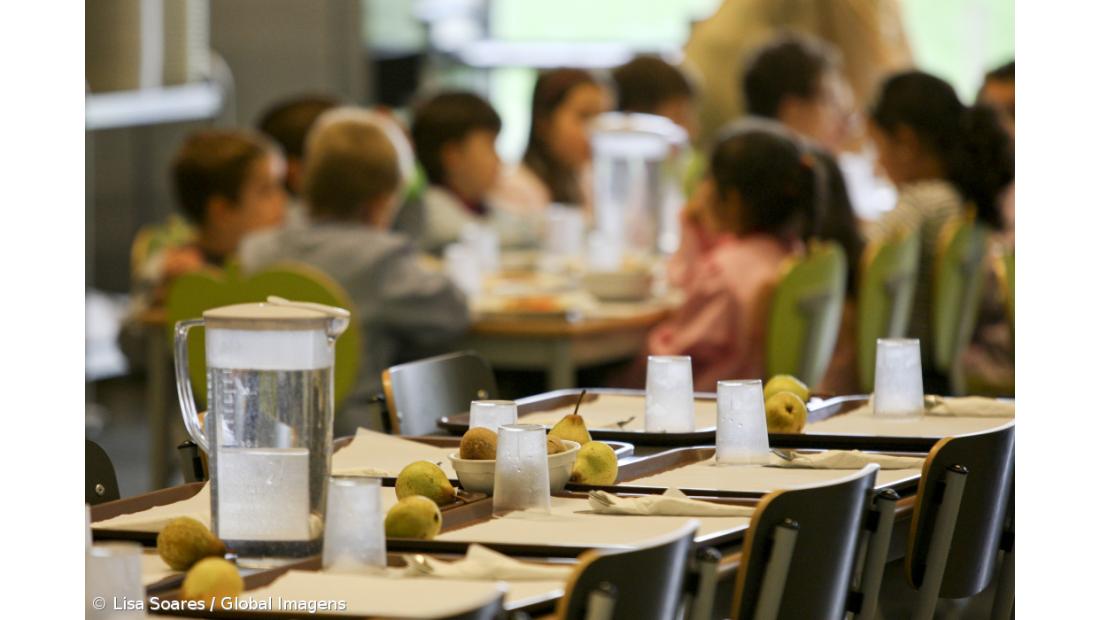 Escolas vão ter orientação para deixar pescado com teor de contaminante fora das ementas