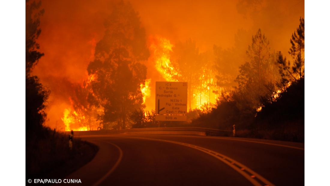 Ordem dos Arquitetos diz que é preciso ponderar reconstrução de algumas casas e povoações
