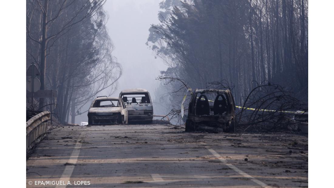 Todos os arguidos julgados no processo dos incêndios foram absolvidos