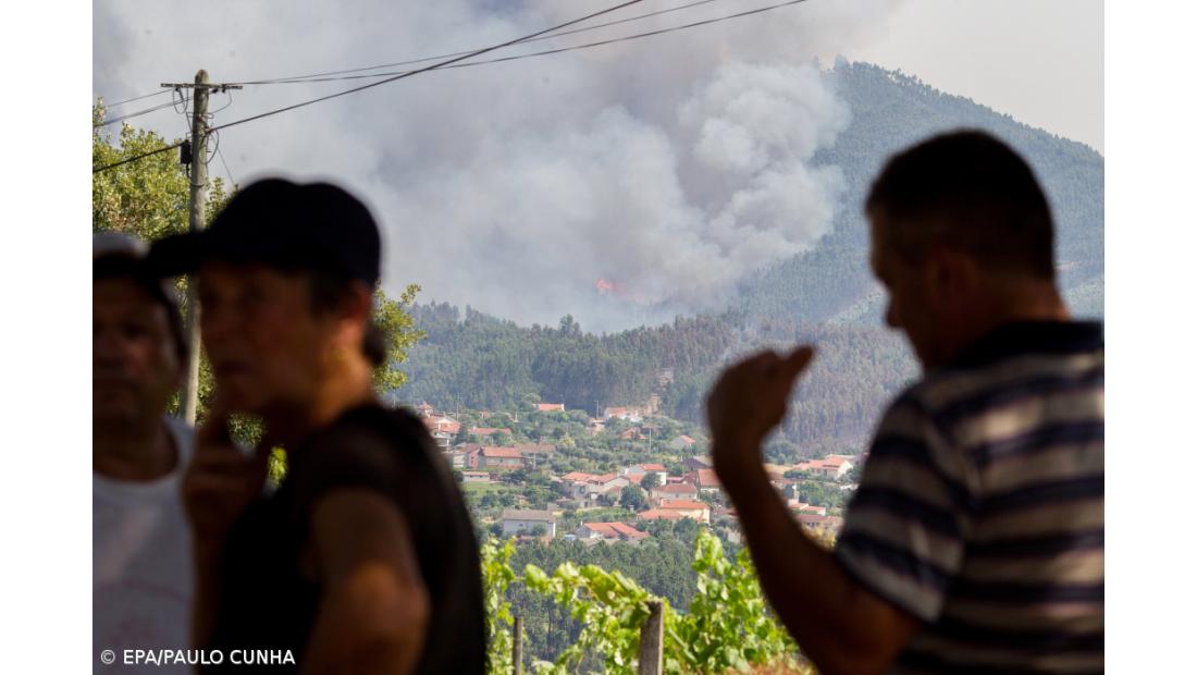 BE apela para que dúvidas sobre ajudas para Pedrógão “não esmoreçam” solidariedade 