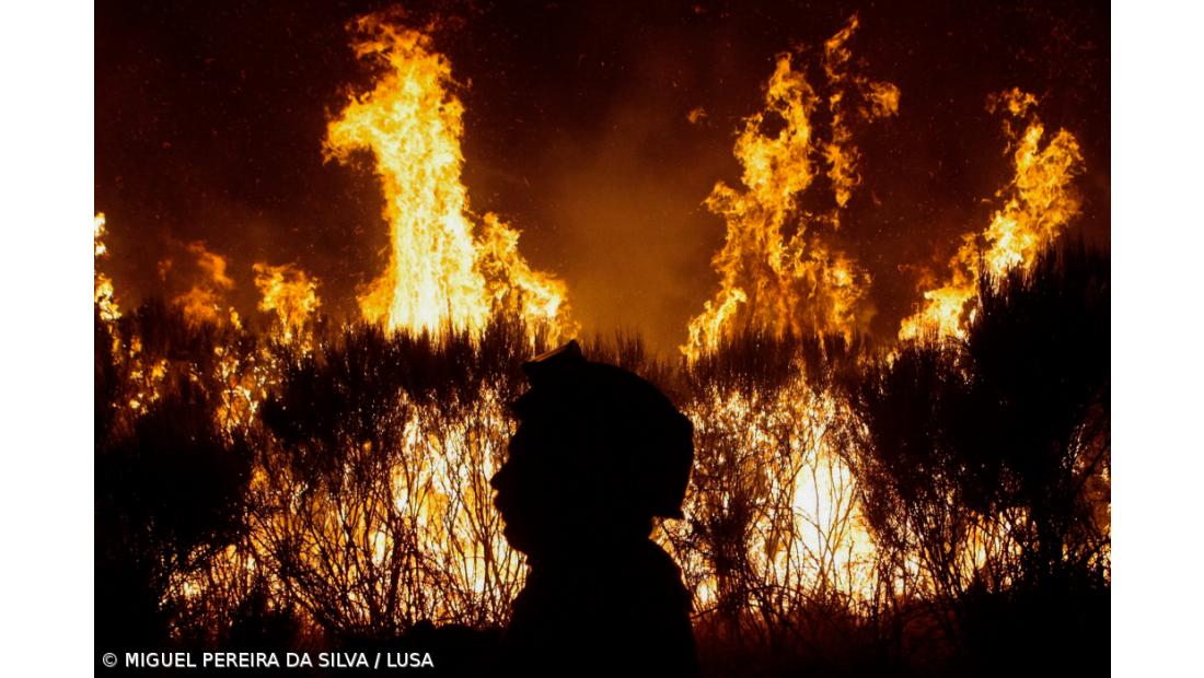 Fogos de julho e agosto reconhecidos como catástrofe natural com apoio de 10ME