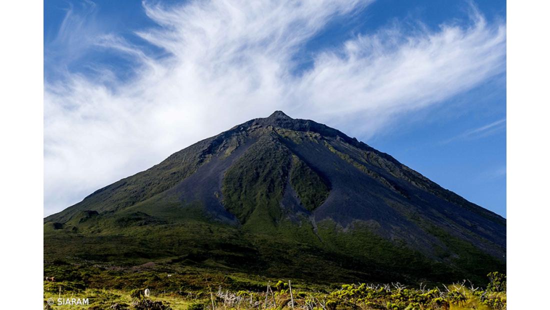 Festival junta as artes à observação de aves durante uma semana no Pico