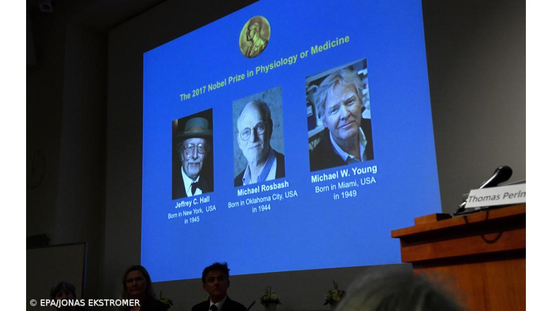 Nobel da Medicina atribuído a descoberta do mecanismo que controla ritmo circadiano – Imagem 2