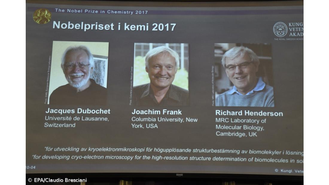 Academia Sueca destaca trabalho dos Nobel da Química na compreensão da "química da vida" – Imagem 2