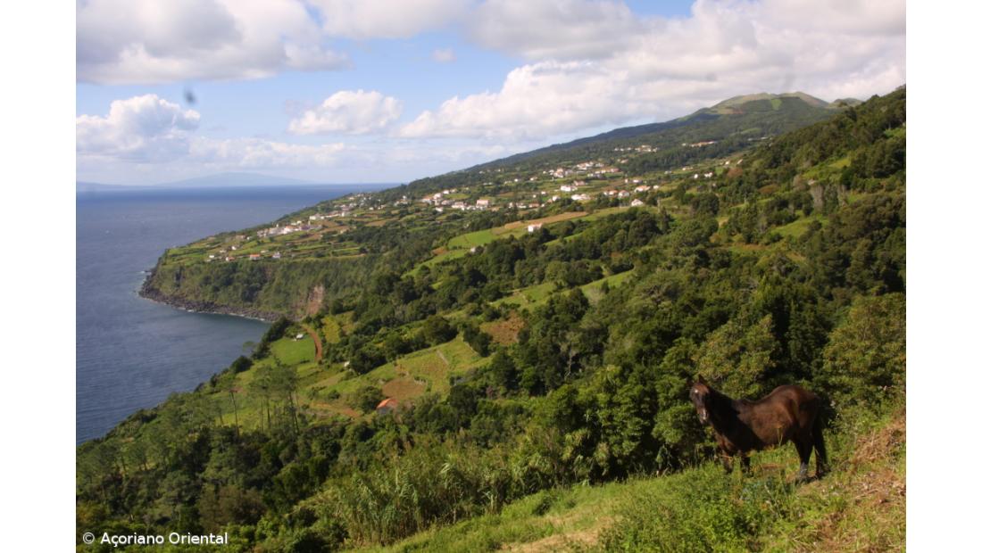 Encontrado corpo do jovem mergulhador desaparecido desde segunda-feira