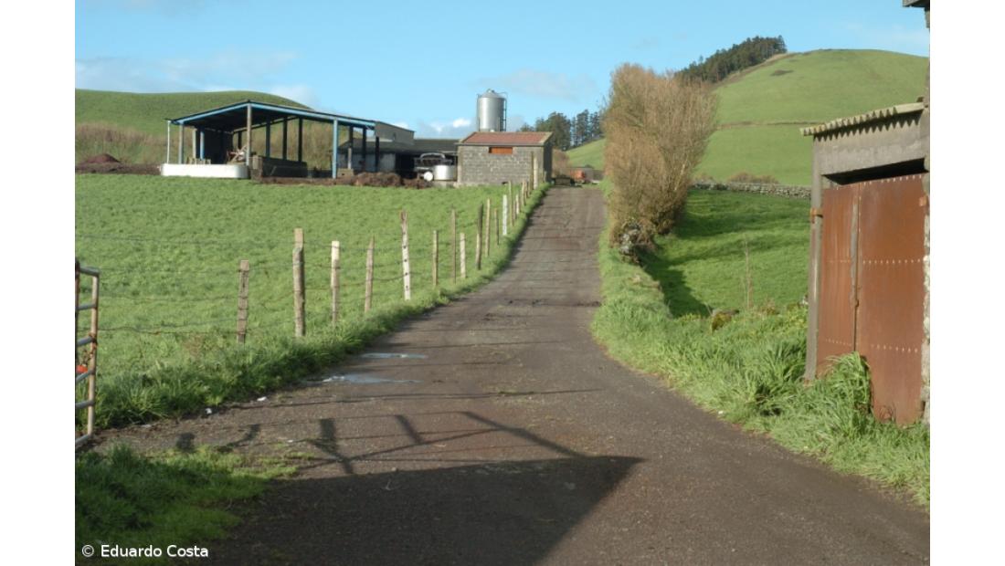 Bruxelas lança consulta pública sobre futuro da PAC