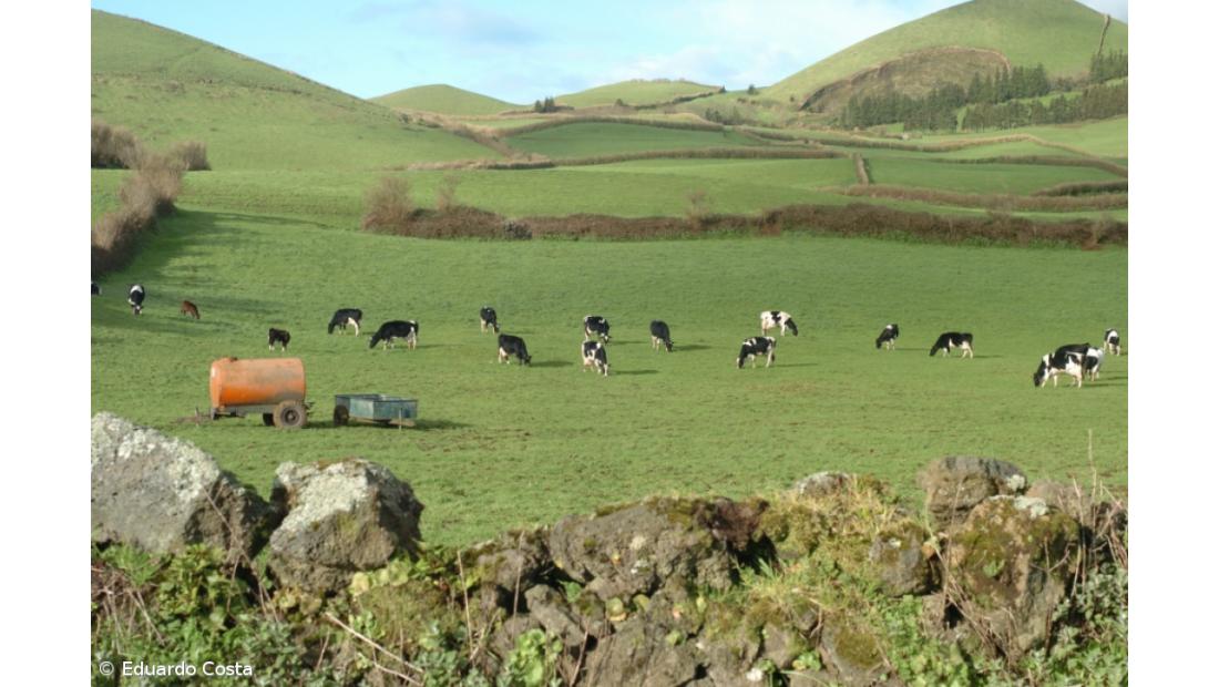 Executivo vai criar planos de desenvolvimento rural para cada ilha