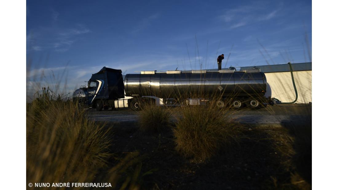Setecentos mil litros de água vão diariamente de Tondela para Viseu – Imagem 2