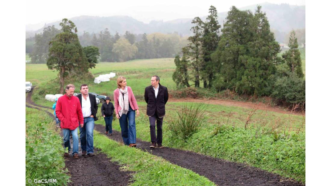 Projeto de reflorestação na Lagoa das Furnas contempla plantação de 250 mil endémicas