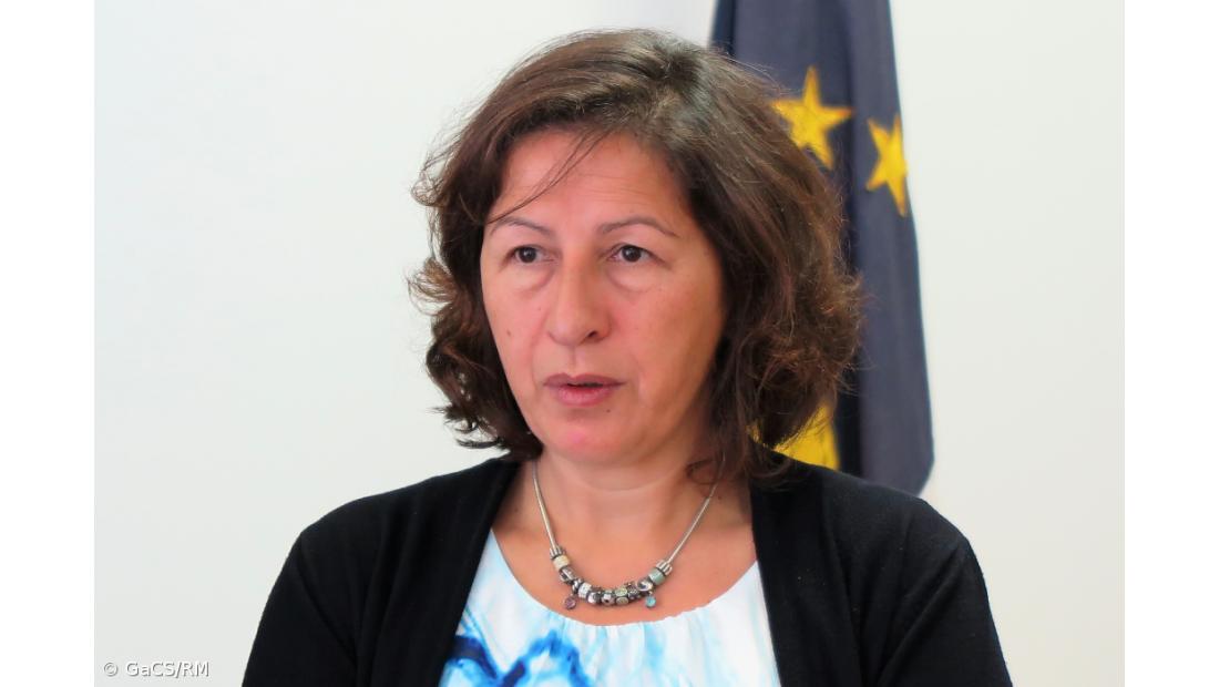 Governo dos Açores rejeita críticas dos ambientalistas à nova legislação da caça