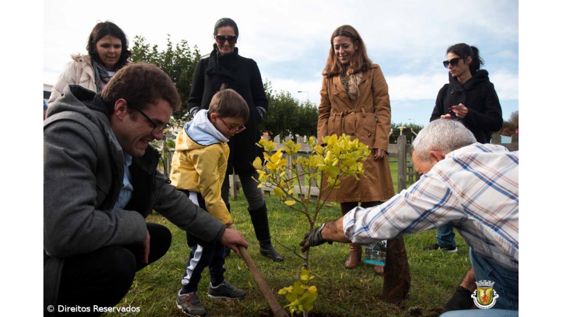 Praia da Vitória assinala Semana da Reflorestação Nacional