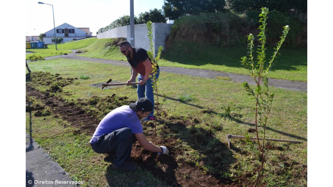 Missão cumprida! Há mais 700 plantas a reflorestar Santa Cruz  – Imagem 2