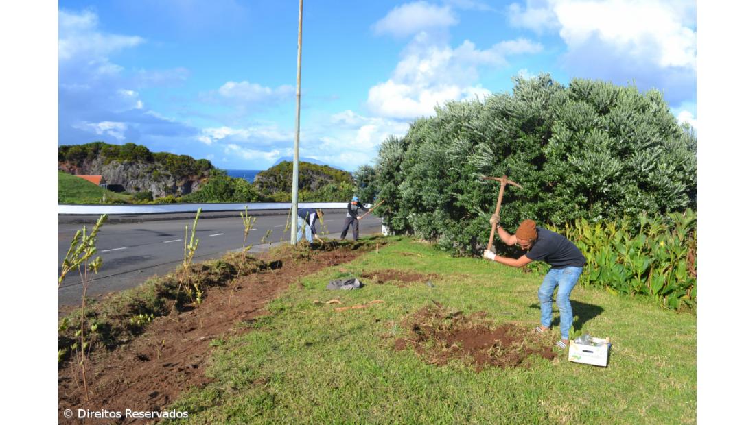 Missão cumprida! Há mais 700 plantas a reflorestar Santa Cruz  – Imagem 3