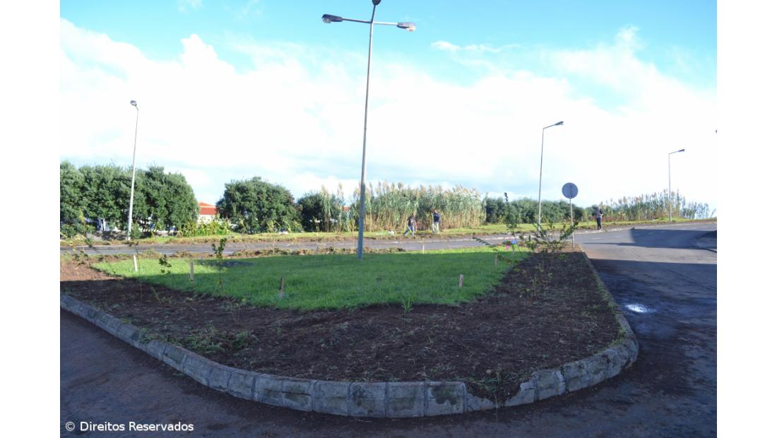 Missão cumprida! Há mais 700 plantas a reflorestar Santa Cruz  – Imagem 4