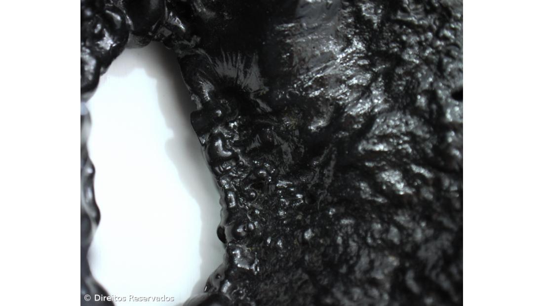 Artista plástica açoriana expõe em Lisboa – Imagem 3