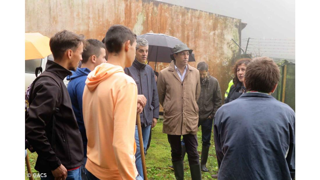 Estudantes da Lagoa em missão de etiquetagem de árvores de natal – Imagem 2
