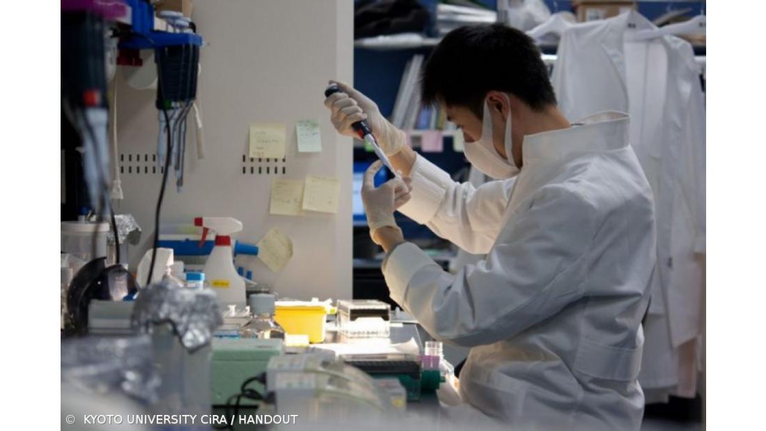 Investigadores do Porto querem treinar algoritmos para aperfeiçoar diagnóstico do cancro