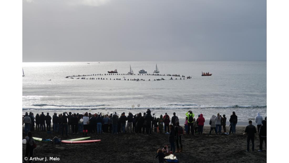 Homenagem a Tânia Oliveira em São Miguel junta centenas de pessoas – Imagem 6