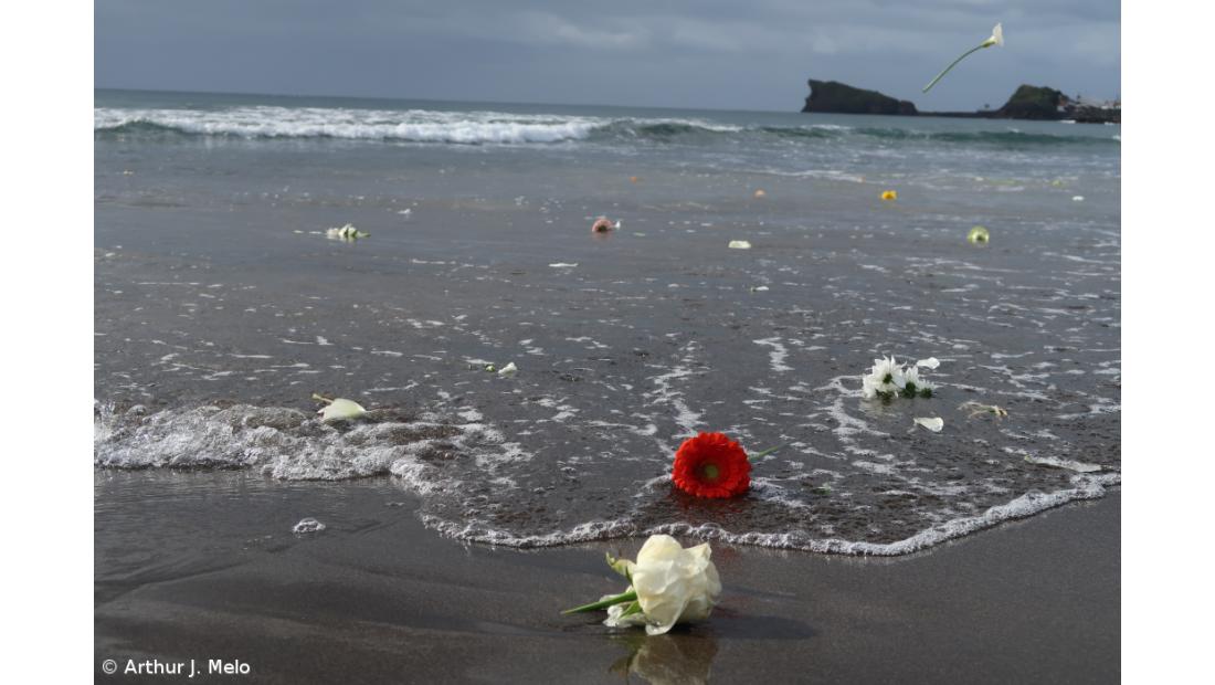 Homenagem a Tânia Oliveira em São Miguel junta centenas de pessoas – Imagem 9