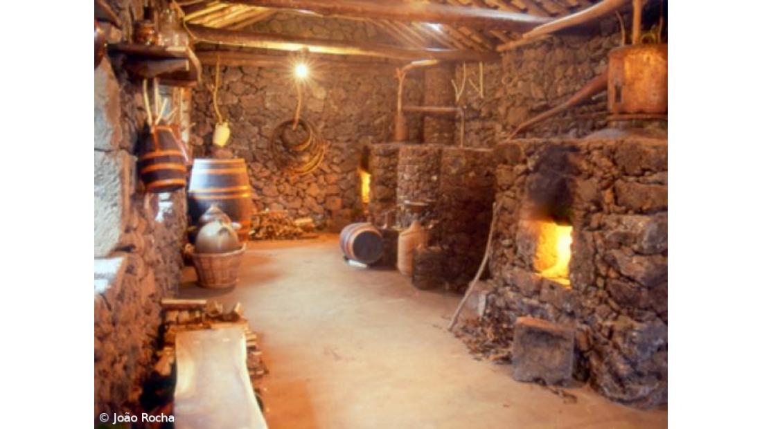 Paraíso a descoberto na Quinta do Martelo – Imagem 7