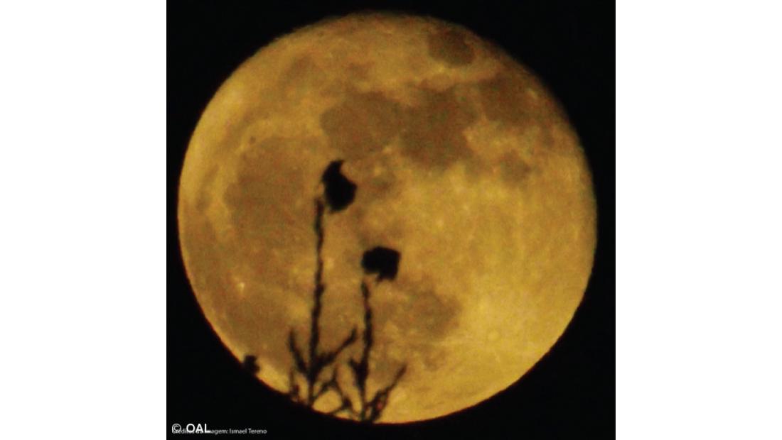 Céu de hoje vai mostrar a última Super Lua de 2018