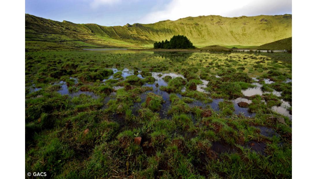 Açores têm desempenho negativo na Ação Climática