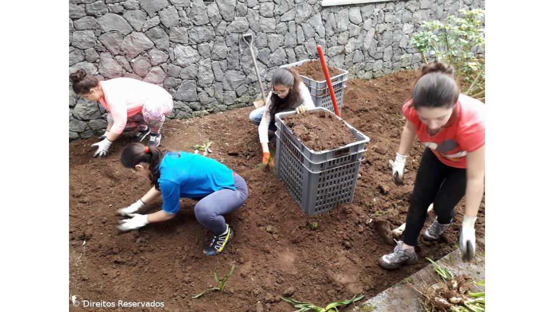 Choki e Bombeiros dão nova vida ao jardim do Tribunal de Santa Cruz das Flores – Imagem 2