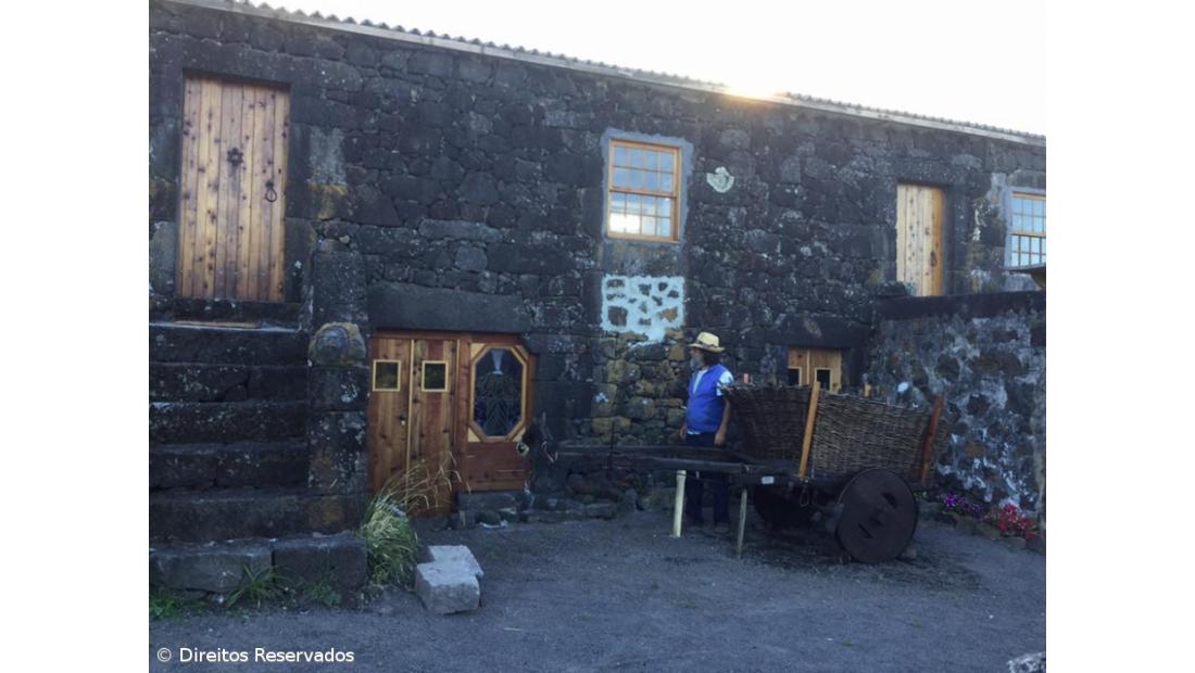 Livros e obras de arte com cheiro a bolo de tijolo – Imagem 3