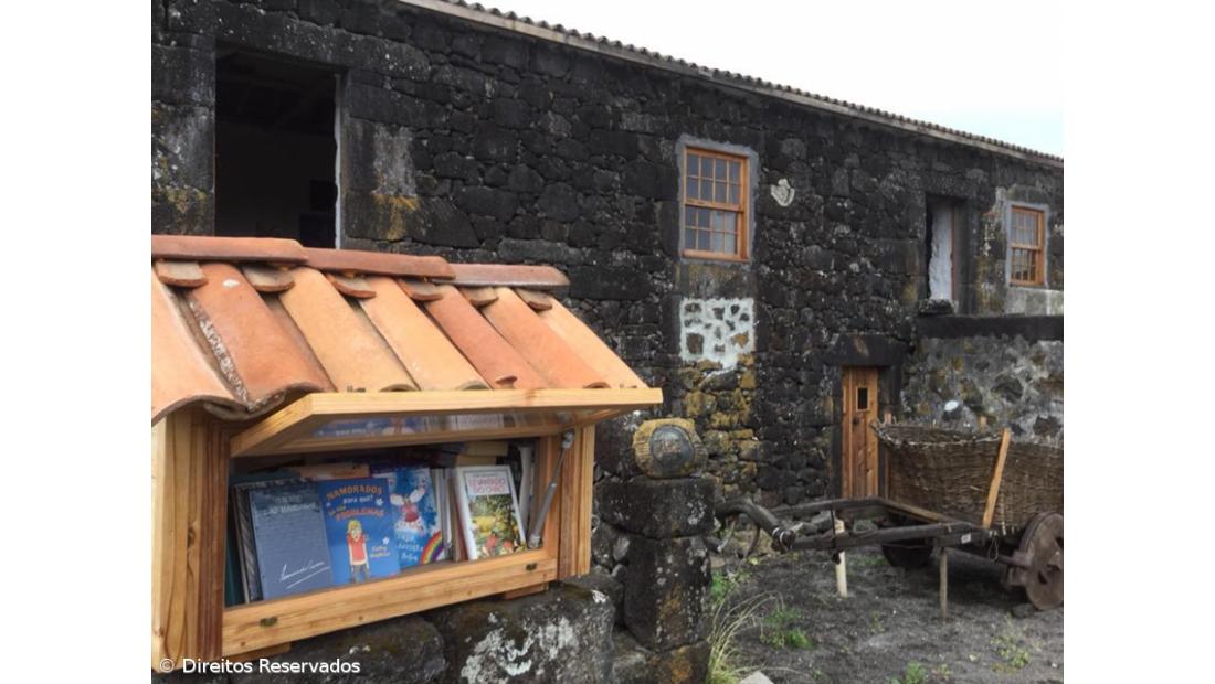 Livros e obras de arte com cheiro a bolo de tijolo – Imagem 4