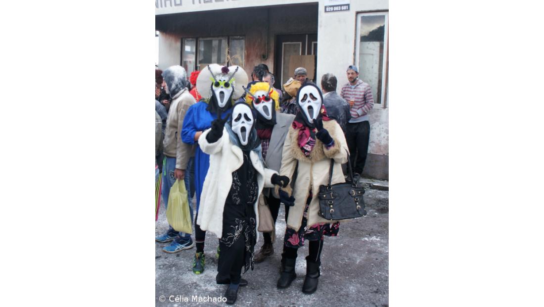 No Carnaval da Ponta da Ilha há testamento de uma burra – Imagem 4