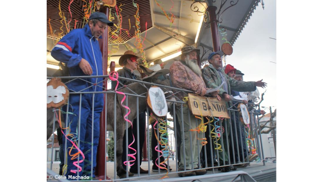 No Carnaval da Ponta da Ilha há testamento de uma burra – Imagem 8