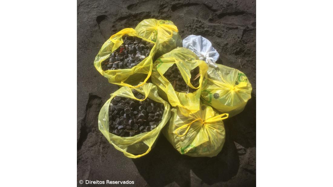 Milhares de filtros plásticos dão à costa na praia das Milícias  – Imagem 2
