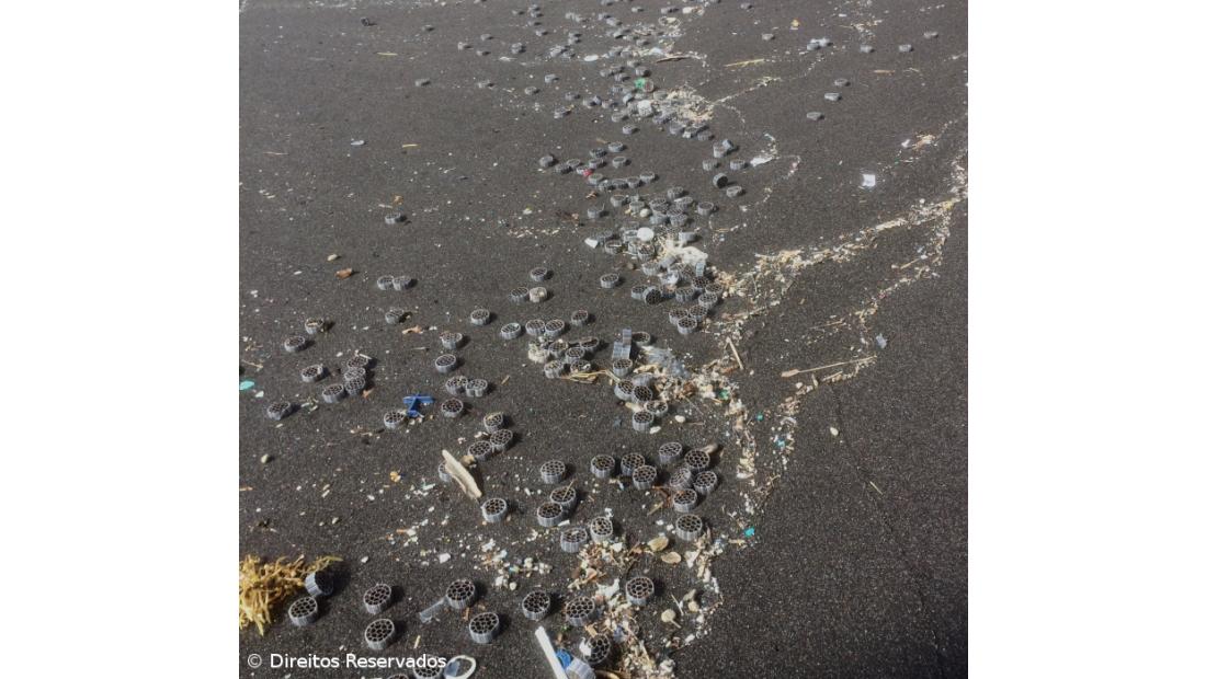 Milhares de filtros plásticos dão à costa na praia das Milícias  – Imagem 4