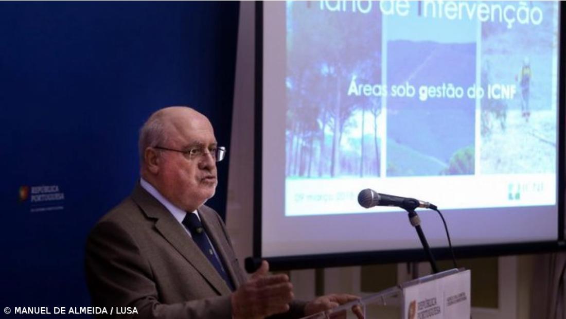 Limpeza das florestas do Estado custa 14 milhões