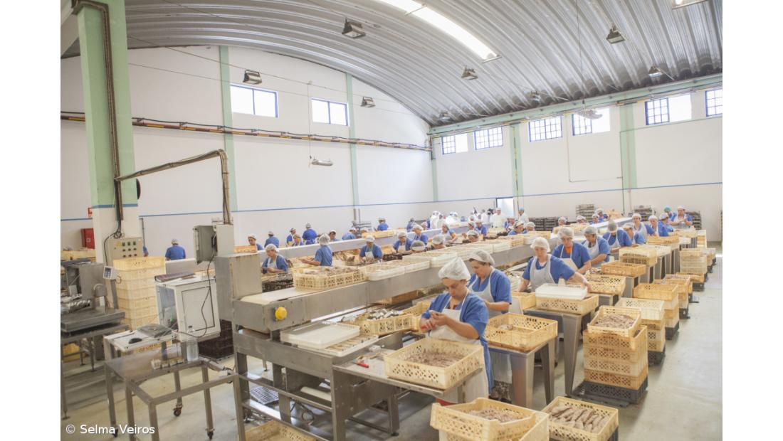 Pescadores de São Jorge querem salvaguarda de postos de trabalho na fábrica de atum