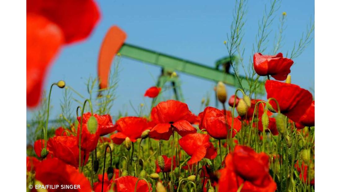  Preços do petróleo em queda