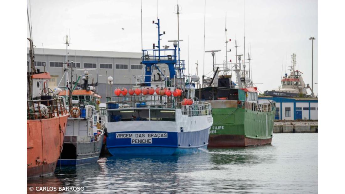 Governo dos Açores rejeita críticas de sindicato sobre subsídio aos pescadores