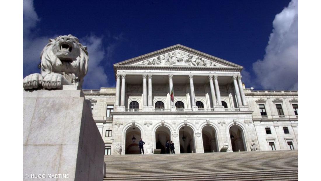 Socialistas de São Miguel querem “renovação” na lista às legislativas nacionais