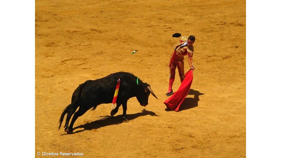 Ligar tauromaquia ao processo contra cavaleiro João Moura é "irresponsável e indigno", diz Associação de Toureiros