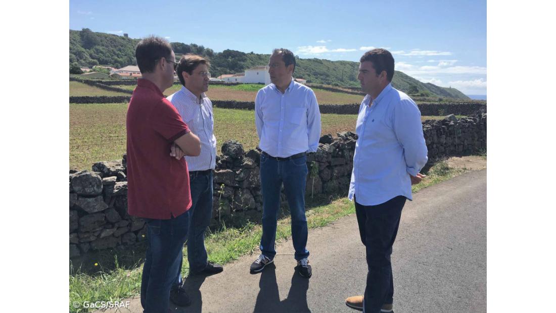 Agricultores da Terceira estimam quebra de produção até 40% devido à seca